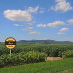 Les résultats des essais de soya du RGCQ sont disponibles sur le site GuideRGCQ.com.