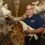 Gislain Houle, producteur d'oeufs de consommation, Le Meunier du 8