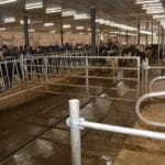 Ferme Belvallée inc. à Saint-Marc-sur-Richelieu