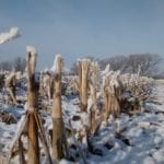 Changements climatiques : faire partie de la solution