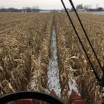 Une récolte qui s’étire mais qui achève