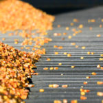 Marché des grains : rien ne bouge!