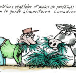 Protéines animales contre protéines végétales