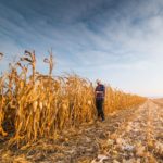 Pour élargir le débat sur les pesticides