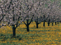 Météo avril : vers un retour à la normale?