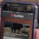 Application mobile Tudder