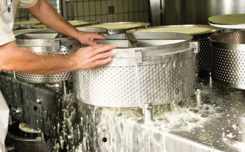 Le lait se transforme en yogourts ou en fromages grâce aux bactéries lactiques. 