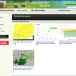 Capture d'écran de la page sur les plantes fourragères dans le site Agrométéo Québec.