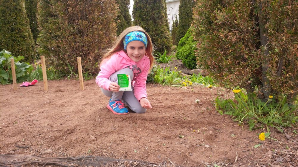 Les 4-H du Canada continuent d’intéresser les jeunes des 4-H à l’agriculture durable et à la sécurité alimentaire en 2019