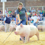 Pas d&rsquo;Expo internationale du porc cette année
