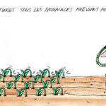 Prêts, pas prêts, sortez !