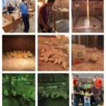 Le projet Les Canardins, réalisé par des étudiants de l’ITA, remporte des honneurs au gala local du Défi OSEntreprendre