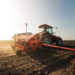 Les semis de maïs sont nettement en retard