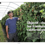 Édition juillet-août 2019 du Bulletin des agriculteurs