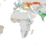 Répartition mondiale des zones cultivées riches en fumier. Les teintes vertes représentent les zones riches en fumier avec le plus grand potentiel de recyclage du phosphore. Les zones riches en fumier étaient les plus abondantes en Inde, en Chine, en Asie du Sud-Est, en Europe et au Brésil. De plus petites taches sont observées en Afrique centrale et orientale, aux États-Unis et en Amérique centrale.