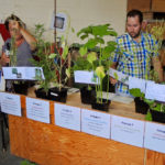 Les agronomes Annie Marcou et David Miville du MAPAQ invitent les participants à identifier les 12 mauvaises herbes qui ont développé de la résistance aux herbicides au Québec