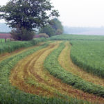 La pluie est un casse-tête en été