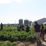Journée Partenaires des pommes de terre le 23 juillet dernier à l’Assomption.