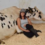 Stepido Super Star Shuttle, soeur propre de la vache Stepido Super Girl Shuttle dont on fait mention dans l'article, a la docilité d'un animal de compagnie, tellement que Mylène Bégin n'hésite pas à se coucher contre elle, malgré la différence de poid. C'est que cette vache a été cajolée depuis qu'elle était veau.