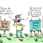 Mauvaises herbes quadriennales