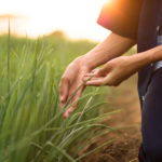 De meilleures pratiques passent par la biosurveillance selon le consortium PRISME