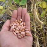 Atteindre ses objectifs de production