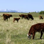 Pour réduire son empreinte environnementale, il faut améliorer plusieurs points.