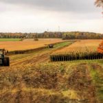 Récolte de maïs ensilage à la ferme Agri-Blanc de Saint-Charles-sur-Richelieu.