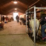C'est dans le cadre d'Expo-Boeuf que le Congrès du boeuf a eu lieu.