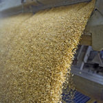 Marché des grains: Le prix du blé bondit à un sommet en six ans