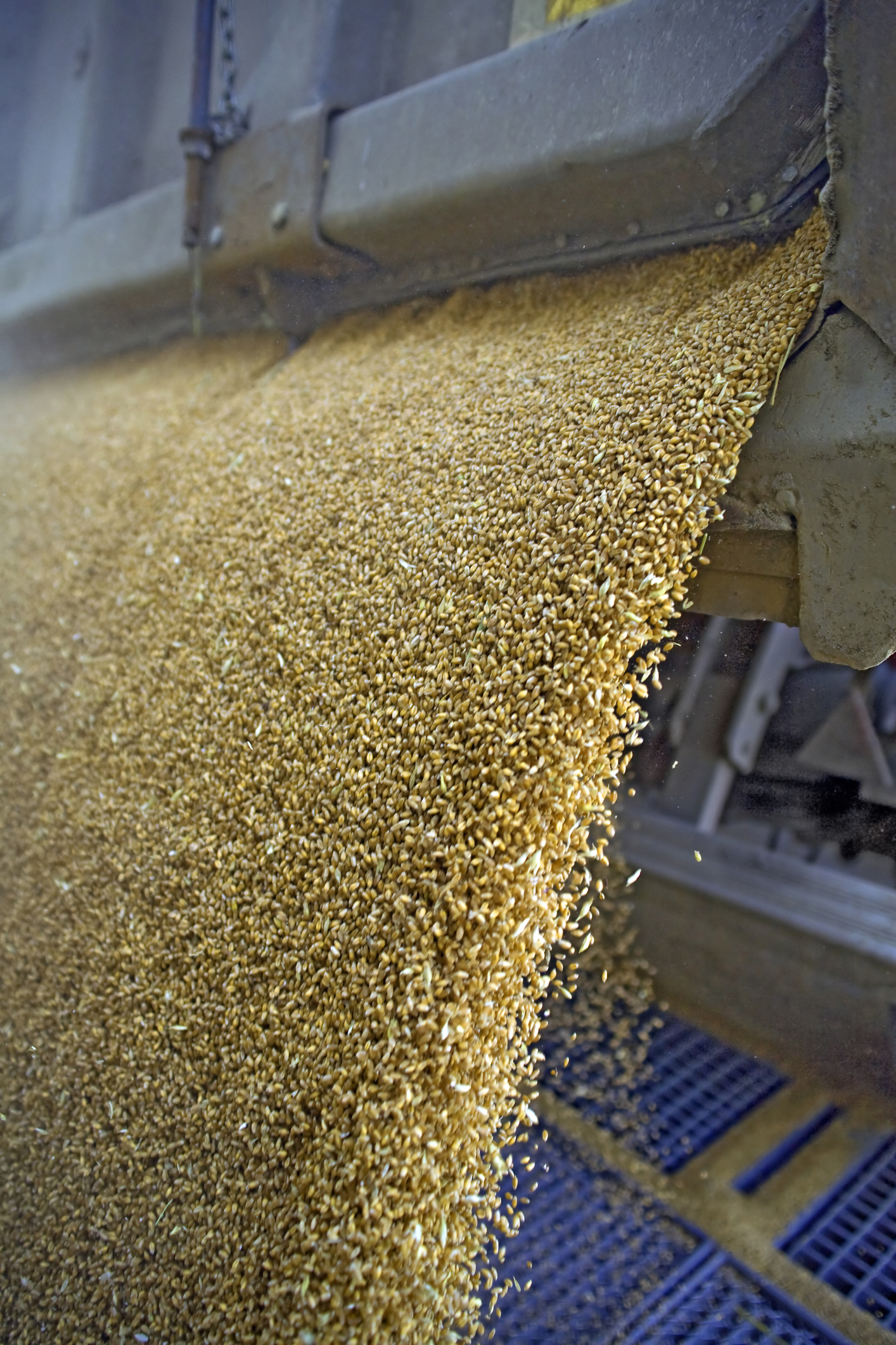 Marché des grains: Le prix du blé bondit à un sommet en six ans