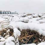 Une autre tempête de neige en route dans l’Ouest