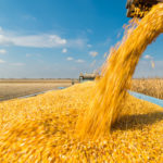 Marché des grains: Remontée des céréales