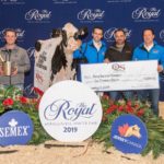 L’expertise québécoise reconnue à la Royal Agricultural Winter Fair