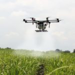Les drones pourraient être utilisés dans la lutte aux mauvaises herbes.