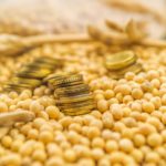 Marché des grains: Le soya repasse la barre des 15 $US