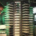 Syngenta dit compter 5000 chercheurs à travers le monde, dont 3 centres de recherche internationaux situés en Europe et aux États-Unis.