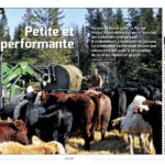 Édition décembre 2019 du Bulletin des agriculteurs.