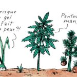 Les coups de cœur de notre BD « Dans le champ »