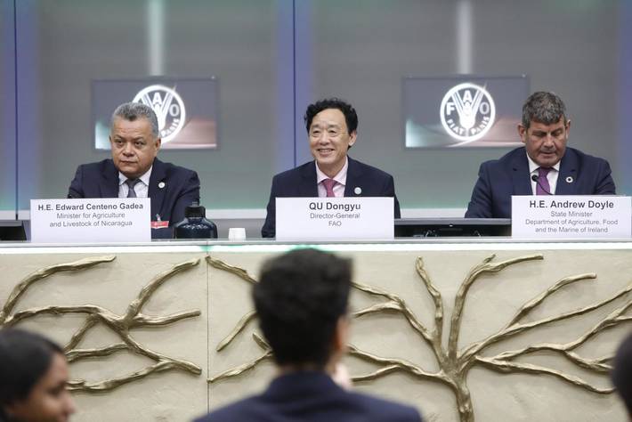 Le Directeur général de la FAO lance l’Année internationale de la santé des végétaux.