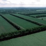 Solution pour améliorer l’infiltration de l’eau