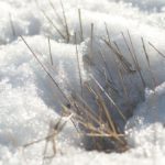 Météo : vers un hiver sans neige?