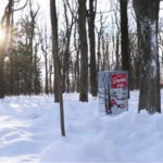 La saison des sucres est lancée