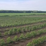 La population est invitée à nommer officiellement un projet