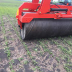 Rouler ou non le soya, là est la question