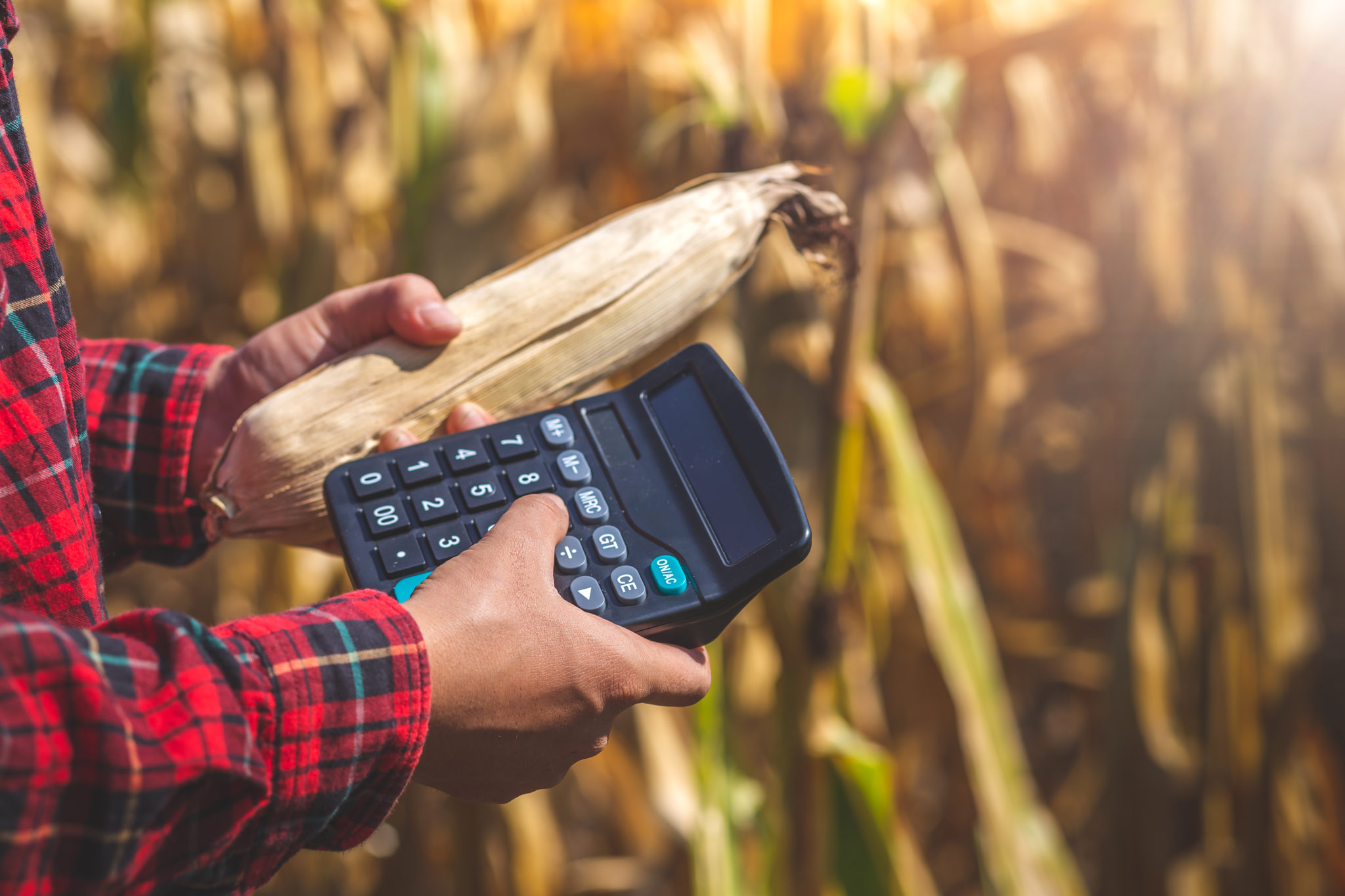 Sortez vos calculatrices, ce n’est pas le temps de se mettre la tête dans le sable