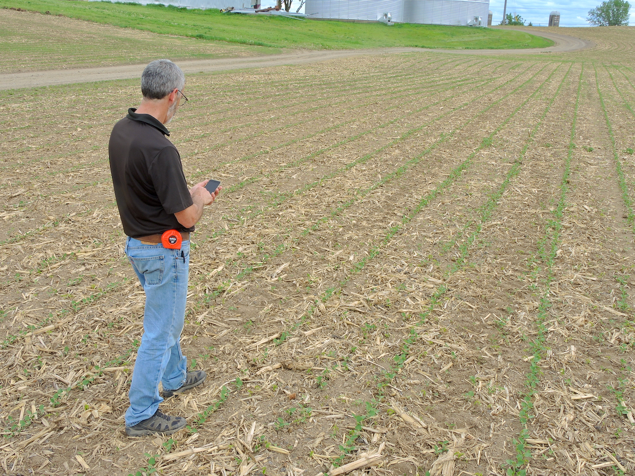 Le Bilan des cultures est un travail collaboratif. Sur la photo, François Montambault de semences Pride participe au bilan à l'aide de l'application Grainwiz