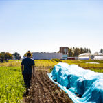 Une ferme sur dix pourrait fermer dans un an