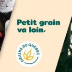 La face cachée des «Grains du Québec»!