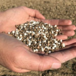 Et si on jasait fertilisation des prairies